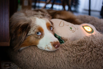 Calming Pillow for Puppies and Anxious Dogs
