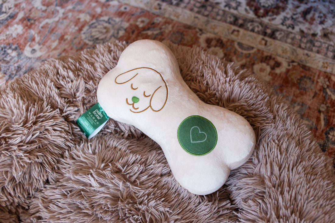 Calming Pillow for Puppies and Anxious Dogs