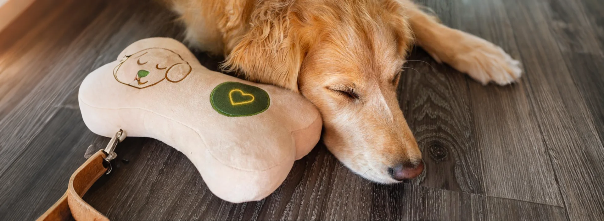 slider image slider_item_RCwdDR