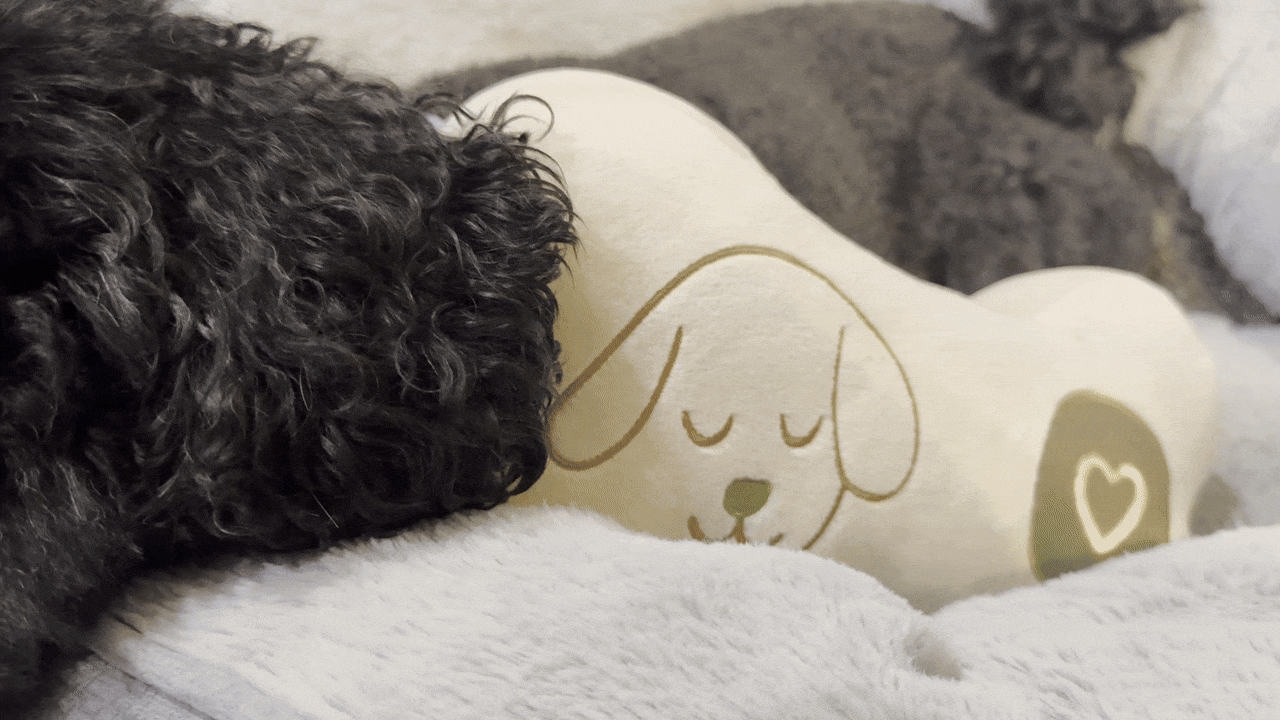 slider image slider_item_9qifBL